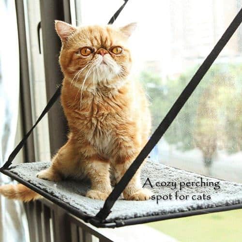 CO-Z Kitty Window Mount Cat Perches