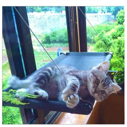 Jingstyle Cat Bed Window Perch
