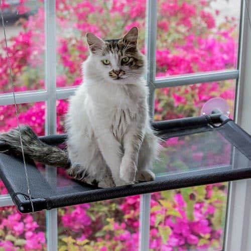 Monkeen Cat Window Perch
