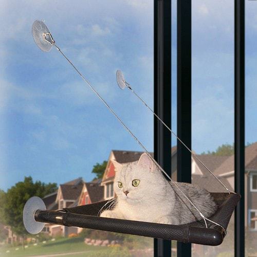 PAW Cat Window Perch