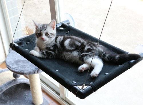PUPTECK Cat Window Perch