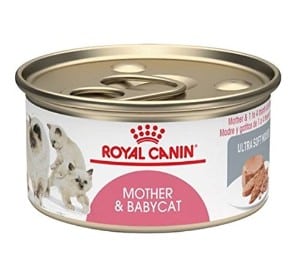 Royal Canin Feline Health Nutrition Babycat Instinctive Loaf In Sauce
