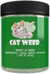 Cat Weed Catnip