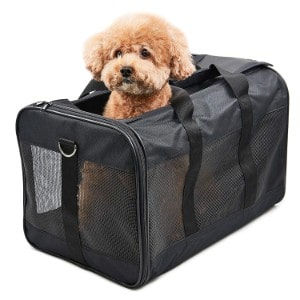 HITCH Pet Travel Carrier