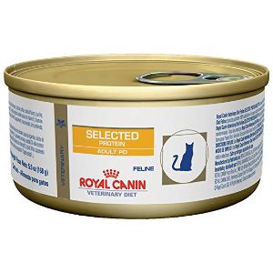 Royal Canin Hypoallergenic Food
