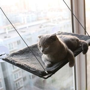 BobbyPet Cat Window Perch