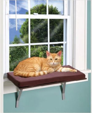 Foam Cushion Deluxe Kitty Window Perch