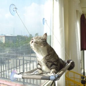 PEFUNY Cat Window Perch Cat Hammock Window Seat