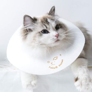 CAFILRA Pet Recovery E-Collar