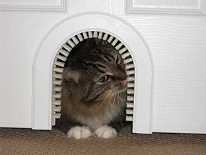 Cathole Pet Door