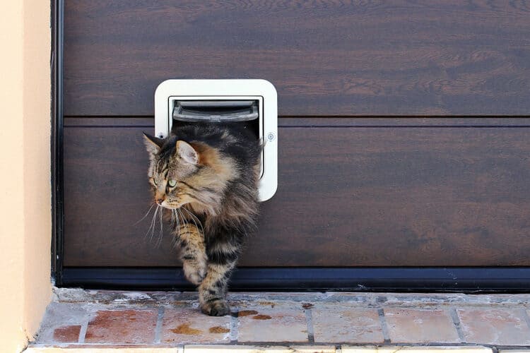 The 25 Best Cat Doors And Flaps Of 2020, Cat Door For Garage