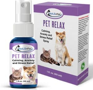 Calming Stress Relief Formula for Dogs and Cats
