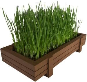 Microgreen Pros Countertop Planter