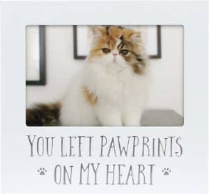 Pearhead Pet Memorial Sentiment Frame