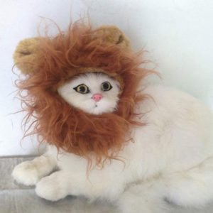 LCFUN Lion Mane Costume for Cat