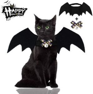 Malier Bat Cat Costume