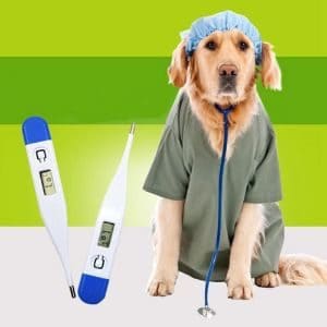 yuxufeng 2pcs Veterinary Thermometer