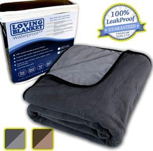 LovingBlanket Waterproof Blanket