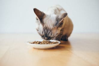 The Best Limited Ingredient Cat Food