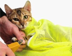 TECH-P Creative Life Adjustable Polyester Cat Grooming Bag, Yellow